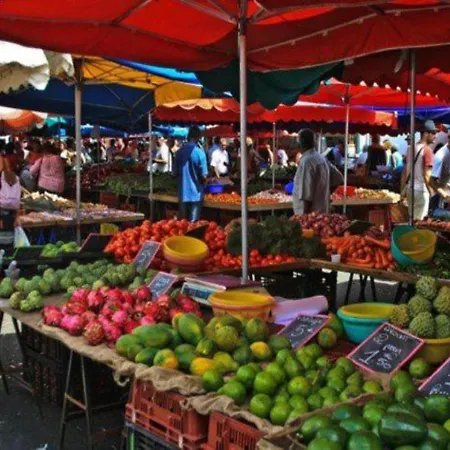 Les Terrasses De La Saint-Pierre-la-Mer (Aude)