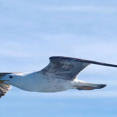 Les Terrasses De La Riad 3*
