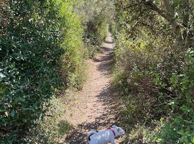 Les Terrasses De La Saint-Pierre-la-Mer (Aude)